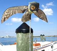 prowler-owl-boat